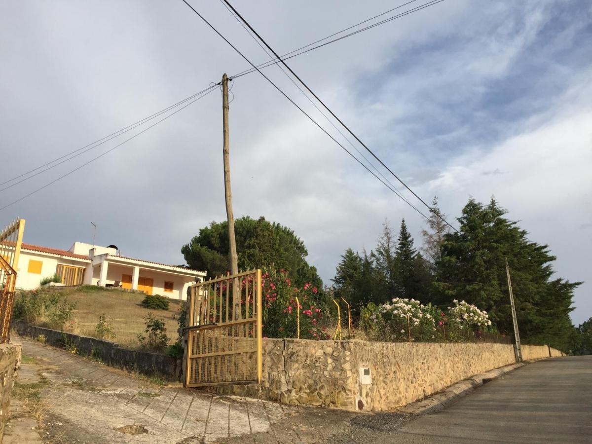 Casa De Pereiras, Vimioso 빌라 외부 사진